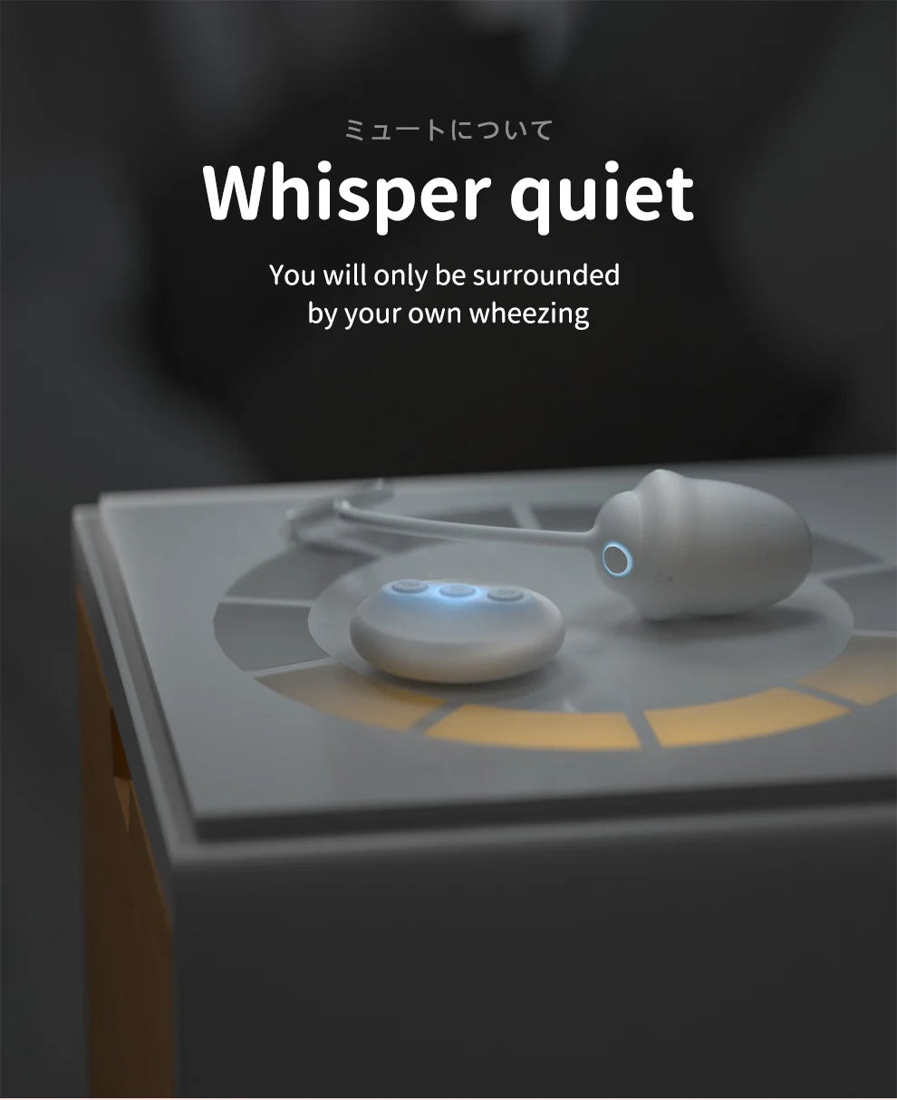 DRY WELL Vibrators for Women Wireless Remote Control Vagina Balls Wear Vibrating Panties Silent Sexy Toys for Quickly Orgasm