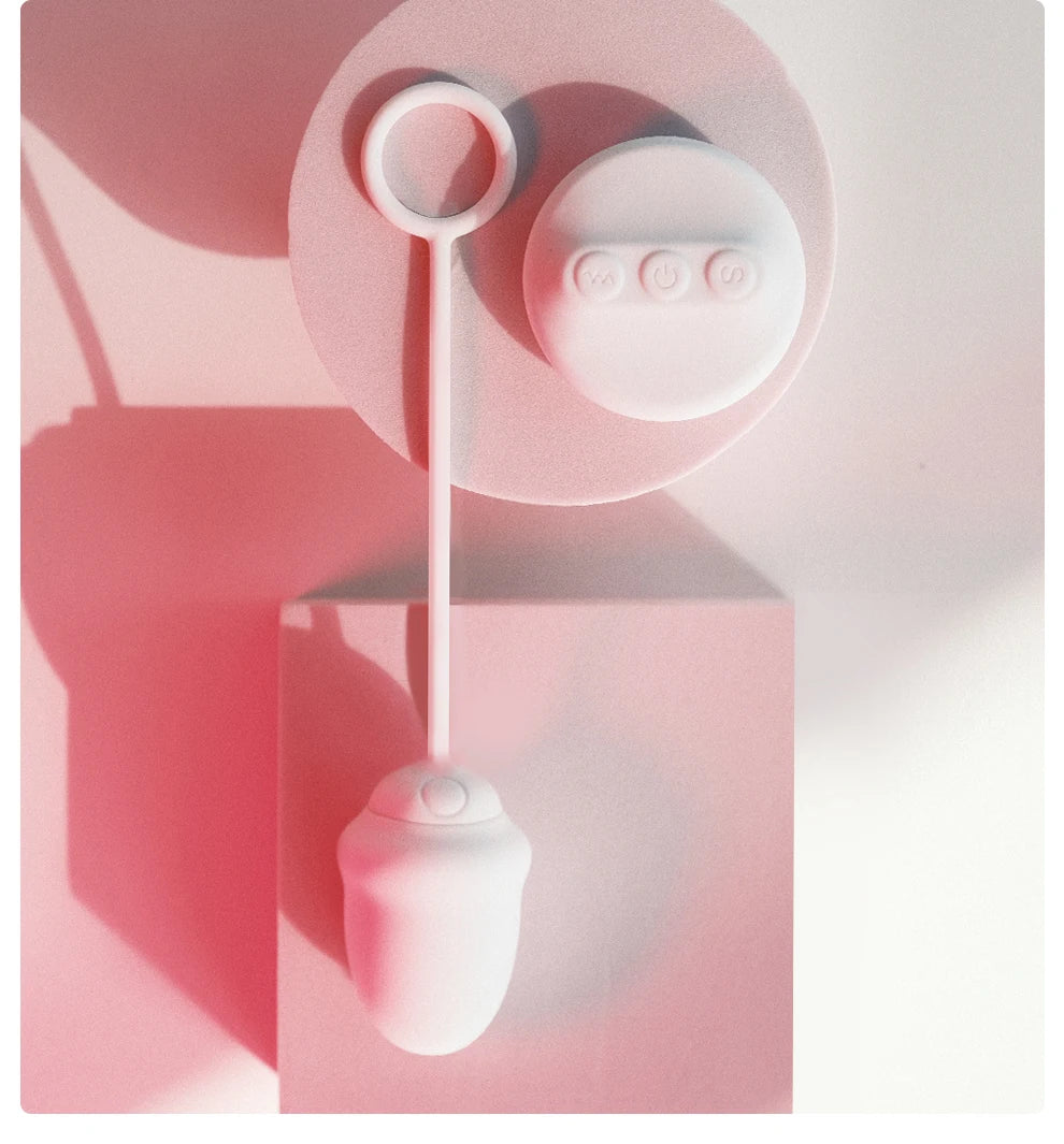 DRY WELL Vibrators for Women Wireless Remote Control Vagina Balls Wear Vibrating Panties Silent Sexy Toys for Quickly Orgasm