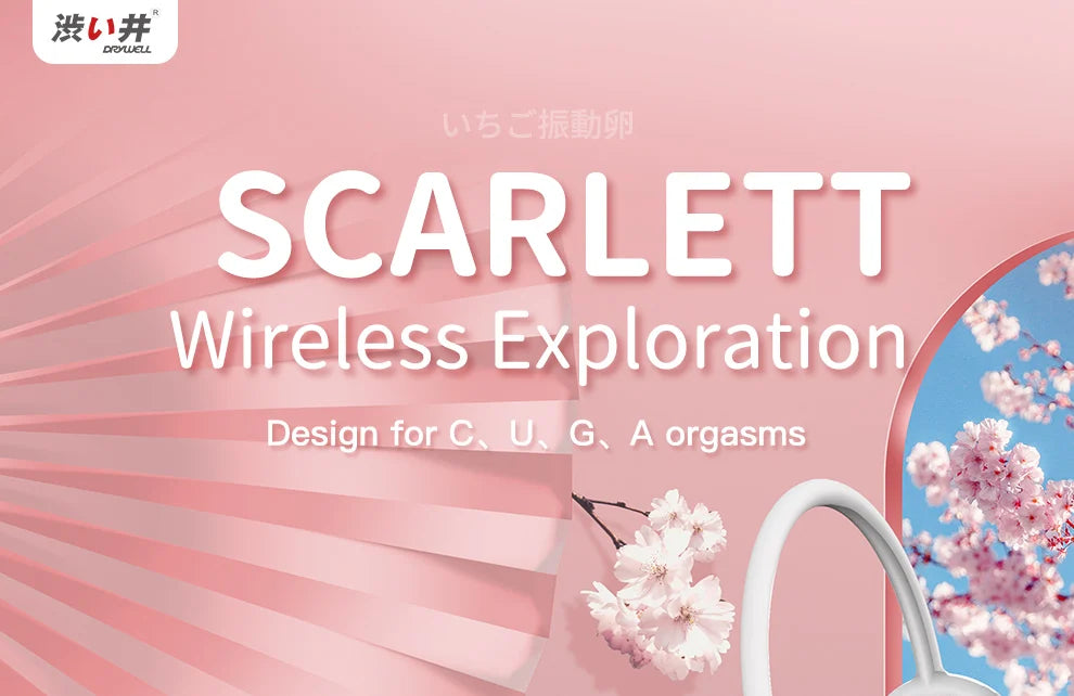 DRY WELL Vibrators for Women Wireless Remote Control Vagina Balls Wear Vibrating Panties Silent Sexy Toys for Quickly Orgasm